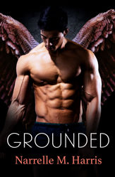 Grounded - 1 Mar 2019