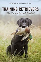 Training Retrievers - 1 Apr 2021