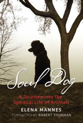 Soul Dog - 13 Nov 2018