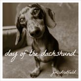 Day of the Dachshund - 1 Oct 2017