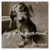 Day of the Dachshund - 1 Oct 2017