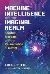 Machine Intelligence and the Imaginal Realm - 1 Feb 2022