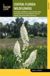 Central Florida Wildflowers - 1 Jun 2016