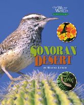 The Sonoran Desert - 16 Mar 2009