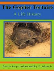 Gopher Tortoise - 28 Aug 2014
