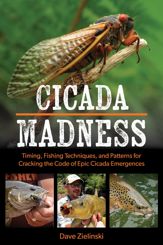 Cicada Madness - 17 Oct 2023