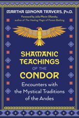 Shamanic Teachings of the Condor - 30 Apr 2024