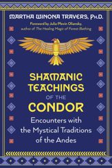 Shamanic Teachings of the Condor - 30 Apr 2024