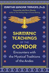 Shamanic Teachings of the Condor - 30 Apr 2024