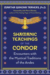 Shamanic Teachings of the Condor - 30 Apr 2024