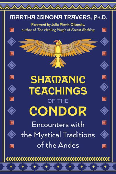 Shamanic Teachings of the Condor