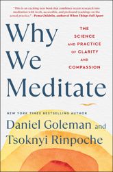 Why We Meditate - 6 Dec 2022