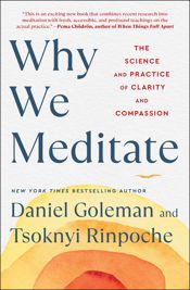 Why We Meditate - 6 Dec 2022