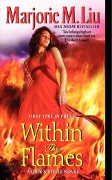 Within the Flames - 29 Nov 2011