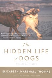 The Hidden Life Of Dogs - 10 Sep 2010