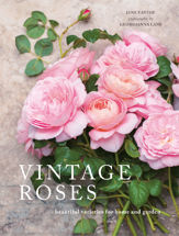 Vintage Roses - 1 Oct 2016