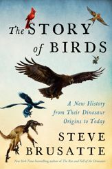 The Story of Birds - 28 Apr 2026