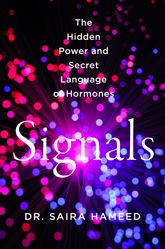 Signals - 19 May 2026