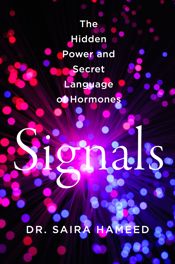 Signals - 19 May 2026