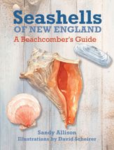 Seashells of New England - 1 Apr 2017