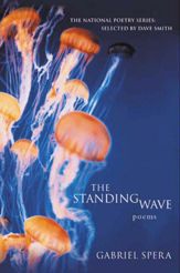 The Standing Wave - 15 Jun 2010