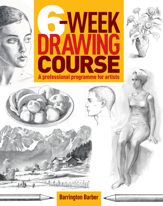 6-Week Drawing Course - 30 Nov 2015