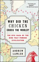 Why Did the Chicken Cross the World? - 2 Dec 2014