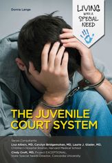 The Juvenile Court System - 3 Feb 2015