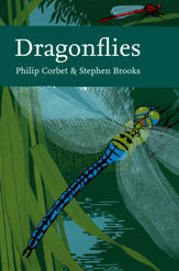 Dragonflies - 17 Feb 2011
