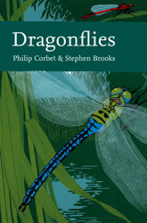 Dragonflies - 17 Feb 2011