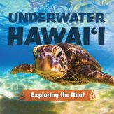 Underwater Hawai'i: Exploring the Reef - 9 Jul 2024