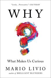 Why? - 11 Jul 2017