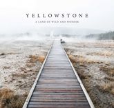 Yellowstone - 21 Mar 2023