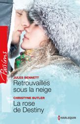 Retrouvailles sous la neige - La rose de Destiny - 1 Jan 2015