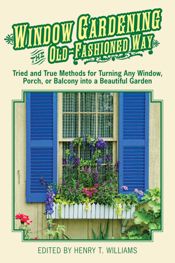 Window Gardening the Old-Fashioned Way - 20 Jun 2012