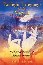 Twilight Language of the Nagual - 27 Jul 2004