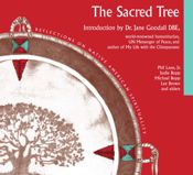 Sacred Tree - 1 Jan 1984