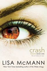 Crash - 8 Jan 2013