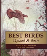 Best Birds Upland and Shore - 13 Dec 2007