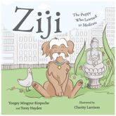 Ziji - 24 Oct 2017