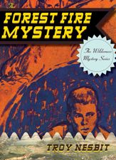 The Forest Fire Mystery - 7 Jan 2014
