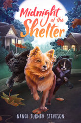 Midnight at the Shelter - 1 Nov 2022