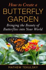How to Create a Butterfly Garden - 7 Mar 2023