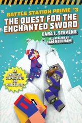 The Quest for the Enchanted Sword - 28 Jan 2020