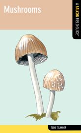 Mushrooms - 1 Feb 2012