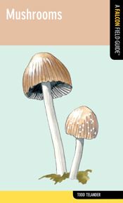 Mushrooms - 1 Feb 2012