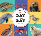 Animal Adventures: Day in the Bay - 24 Feb 2026