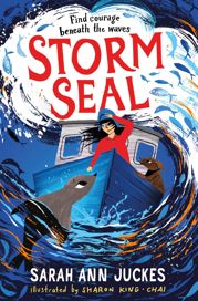 Storm Seal - 4 Jul 2024