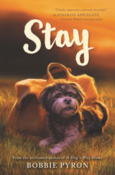 Stay - 13 Aug 2019