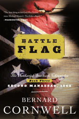 Battle Flag - 17 Mar 2009